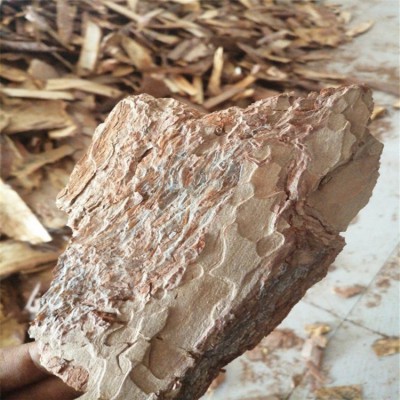 松树皮