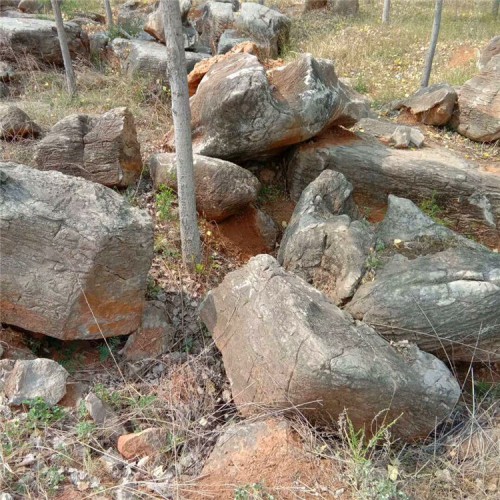 精品草坪石 优质点缀石 草坪石 草坪石厂家