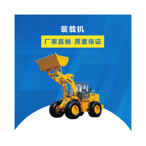 50型装载机 长臂装载机 大型装载机 二手装载机