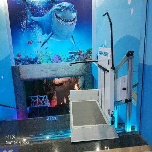 残疾人轮椅升降机 残疾人专用升降机 残疾升降机