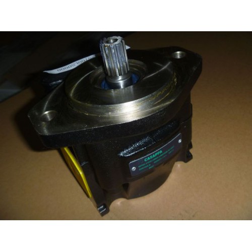 意大利CASAPPA 齿轮泵 KP30.31D0