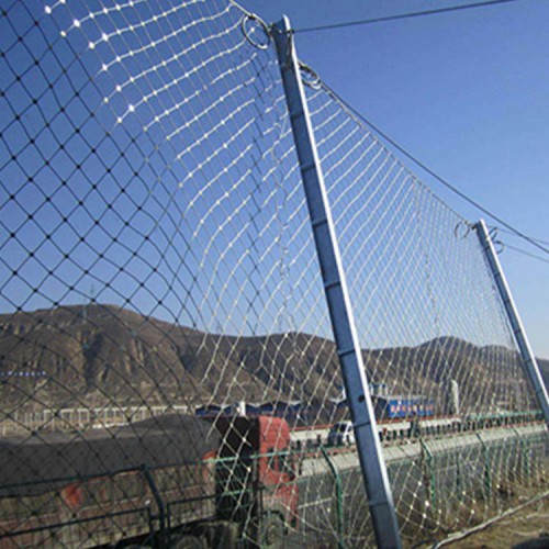 被动防护网  厂家