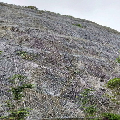 主动防护网 厂家价格