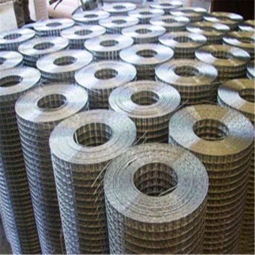 镀锌电焊网 镀锌电焊网厂家