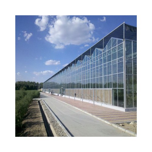 温室大棚厂家 温室大棚专业领导者 青州国聚温室大棚