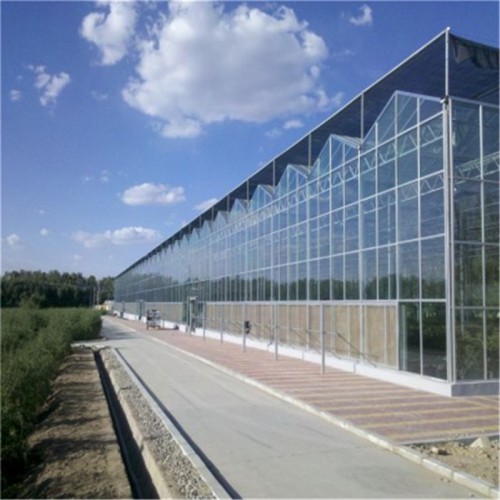 玻璃温室 玻璃温室大棚厂家 新型玻璃温室