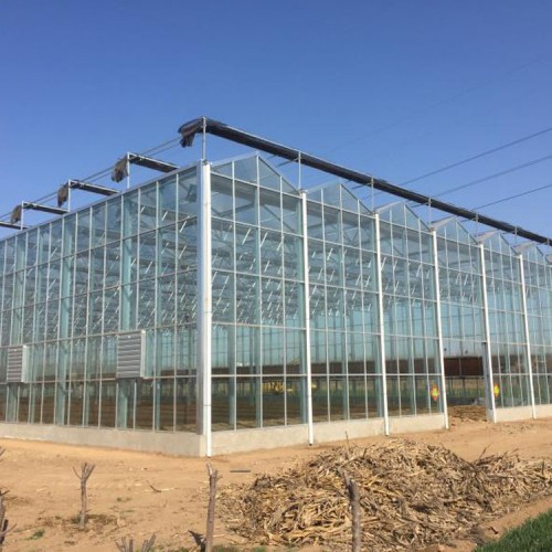 智能玻璃温室 玻璃智能温室大棚造价 智能玻璃温室大棚厂家
