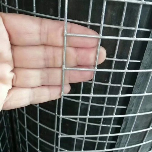 内墙保温抹灰钢丝网电焊网厂家批发 泽尚厂家