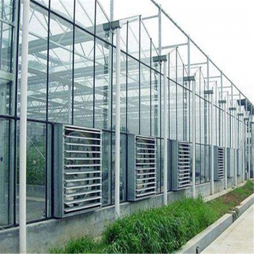 玻璃温室大棚
