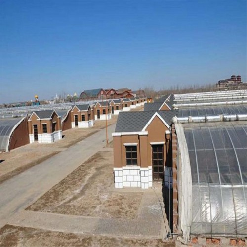 日光温室大棚