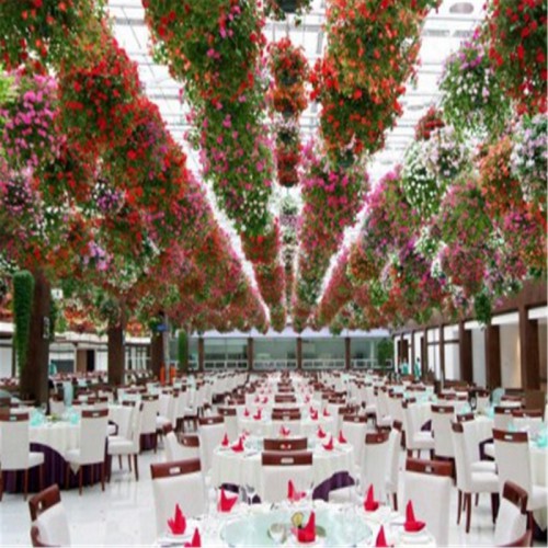 温室大棚生态餐厅