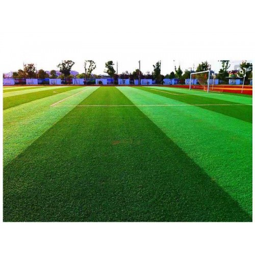 棒球场人造草坪