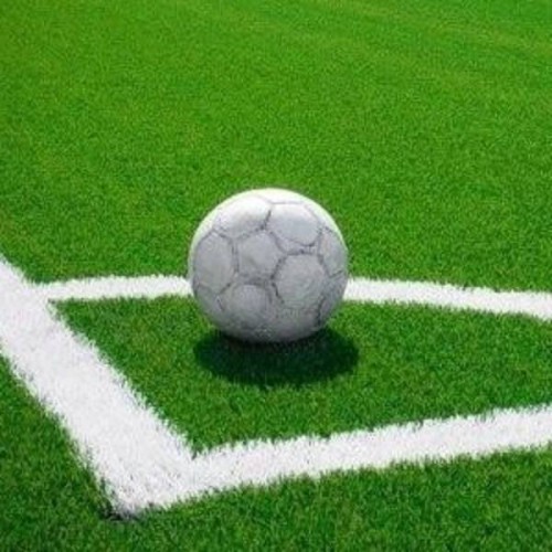 高尔夫球场人造草果岭