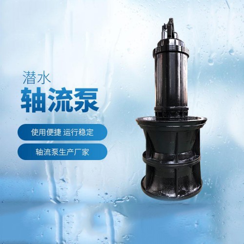 天津轴流泵厂家