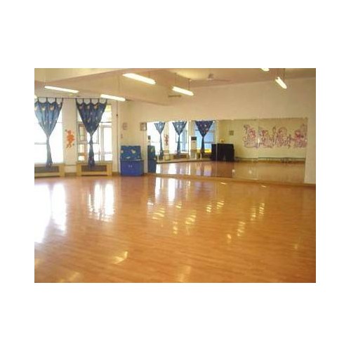 芭蕾舞舞蹈运动木地板