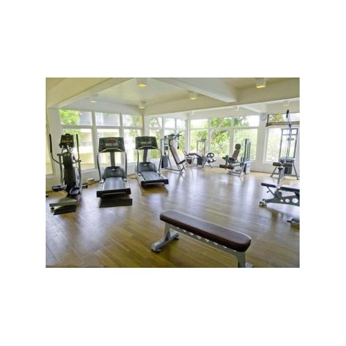 什么是枫木运动地板