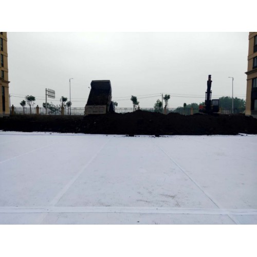 PED14 高分子防护排水异形片自粘土工布