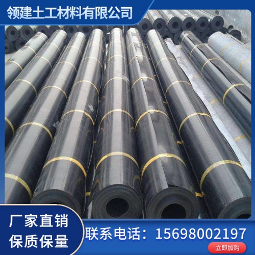 土工膜 糙面土工膜厂家