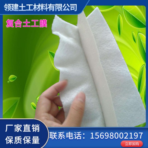供应土工膜 驻点土工膜厂家