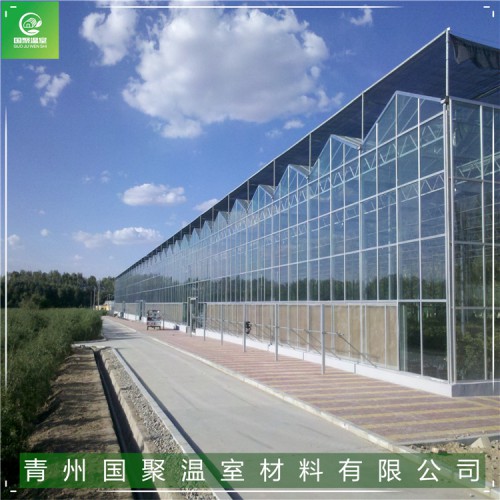 智能玻璃温室成本 智能玻璃温室承建商 智能玻璃温室大棚