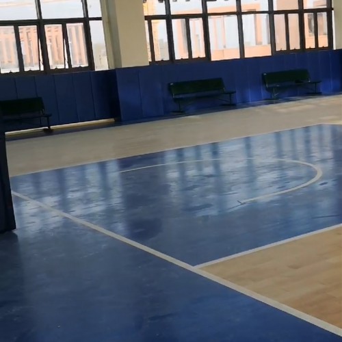 篮球木地板一般多少钱一平