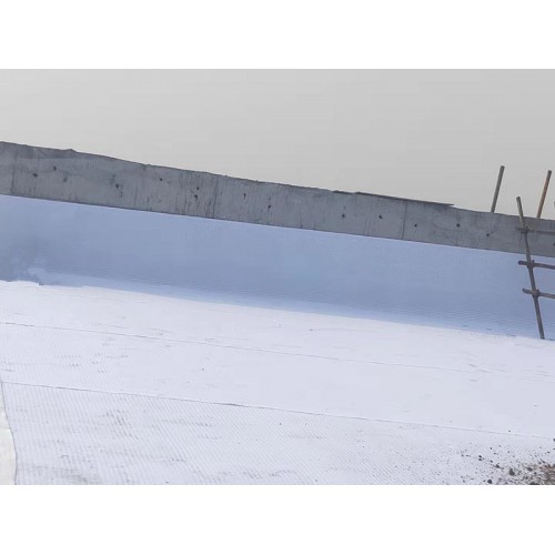 14高分子防护排水异型片自粘土工布