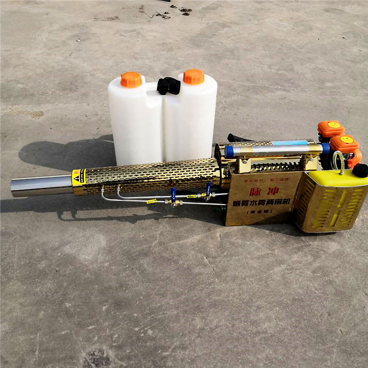 Summer beach concept