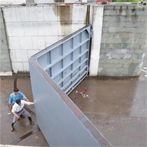 海鹰 竖梁式人字门 大跨度人字闸门 耐腐蚀性强 密封性好