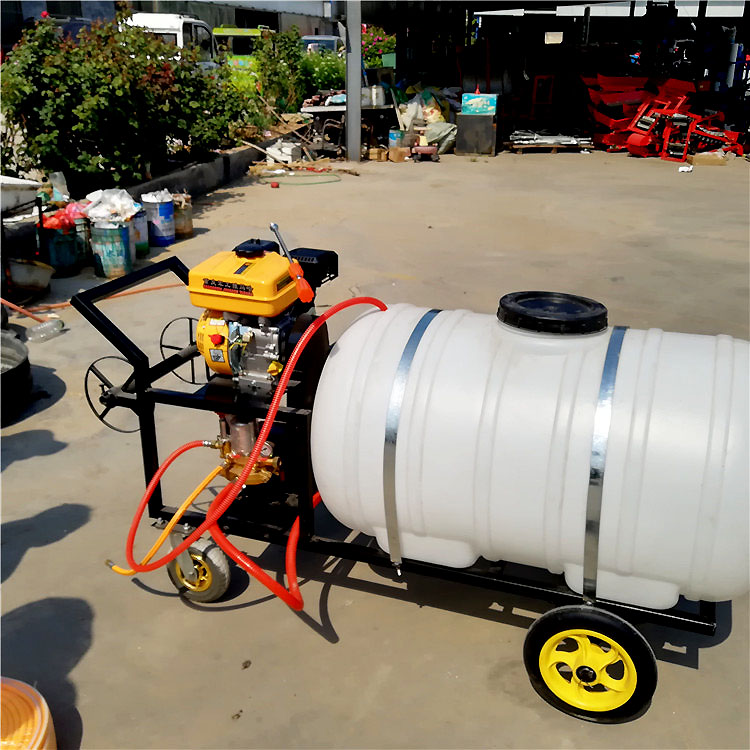 Summer beach concept