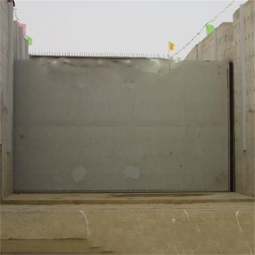 海鹰 船闸横拉门 齿轮式横拉门 结构紧凑 启闭时间短