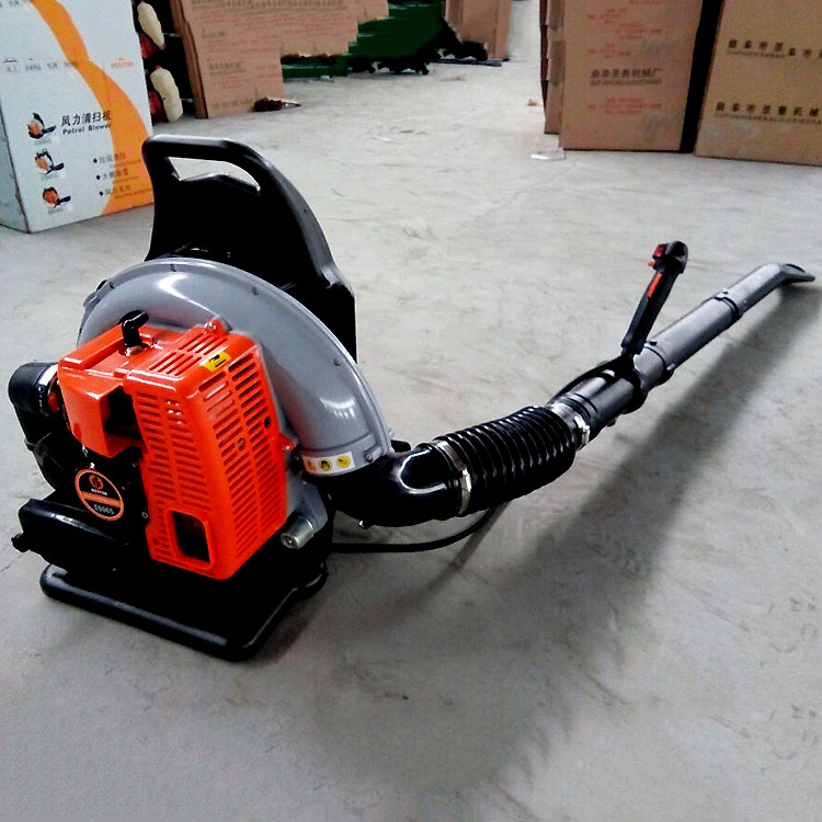 Summer beach concept