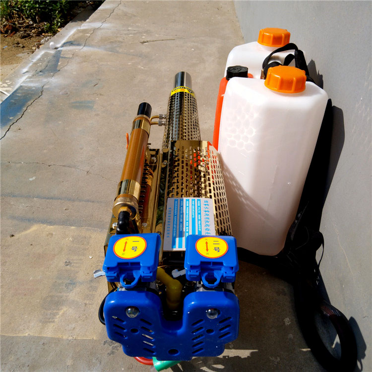 Summer beach concept