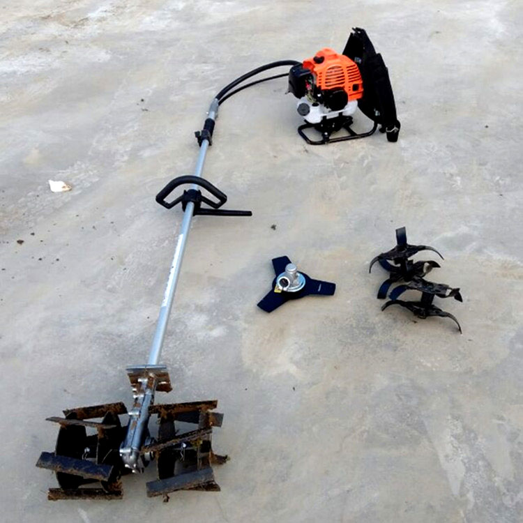 Summer beach concept