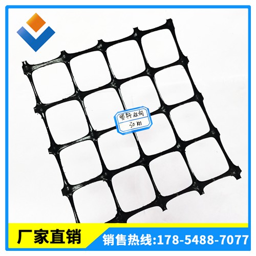 塑料土工格栅 双向塑料格栅价格 TGSG 土工格栅厂家