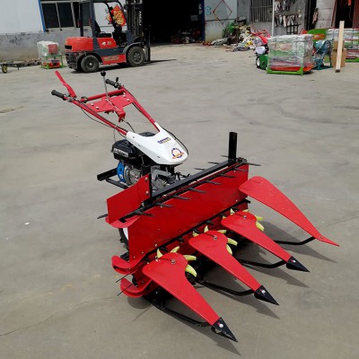 手推式割晒机厂家 小麦水稻大豆割倒机乐民牌