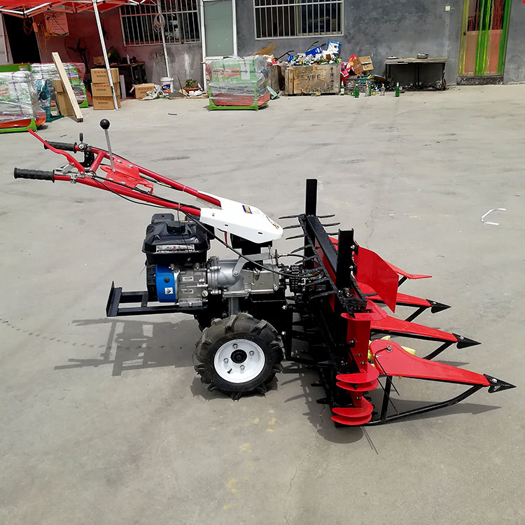 QQ图片20200717145737