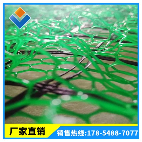 三维植被网 EM2-5护坡绿化 河道坡面专用 植被网直供