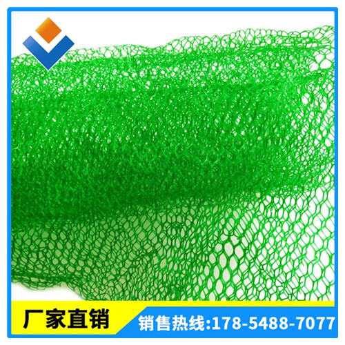 三维植被网价格 EM2-5规格齐全 河道坡面专用 植被网厂家