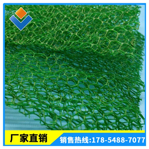 三维植被网供应 护坡绿化 河道坡面专用 三维植被网生产厂家