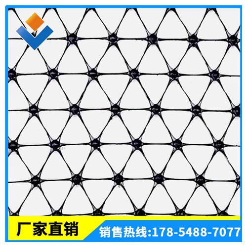 多向塑料土工格栅 土工格栅价格 塑料土工格栅实力厂家