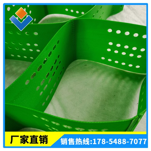 蜂巢土工格室 高速路基 河道护坡 HDPE土工格室厂家供应