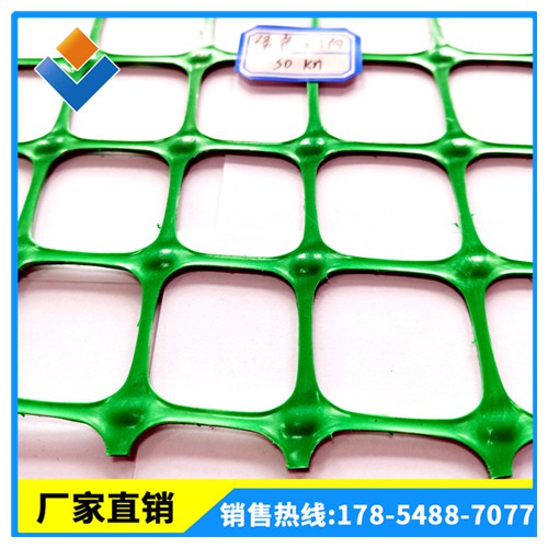 绿色塑料土工格栅 双向塑料格栅价格 土工格栅实力厂家供应