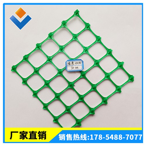 绿色格栅 塑料土工格栅 双向塑料格栅 土工格栅实力厂家供应