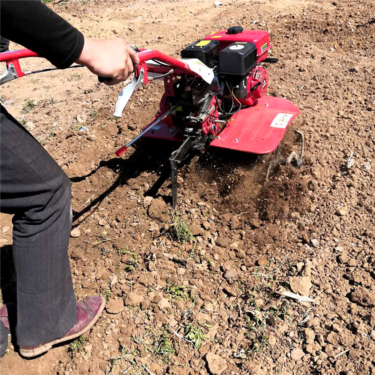 微信图片_2020031914212622