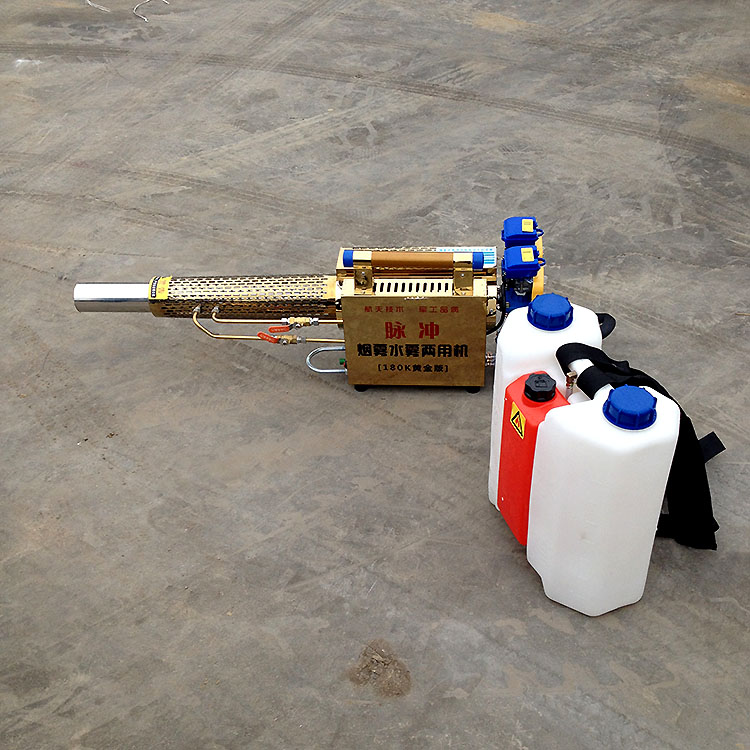 Summer beach concept