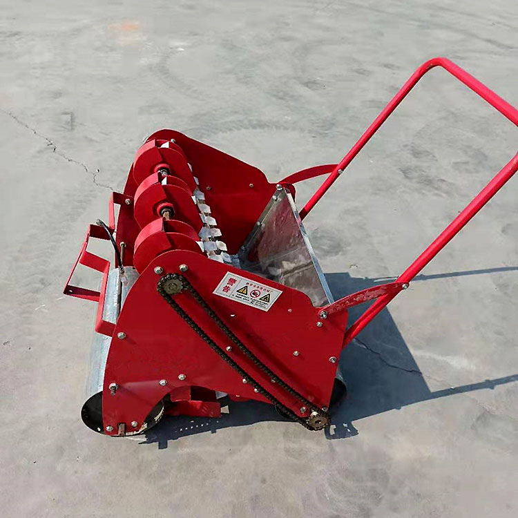 Summer beach concept