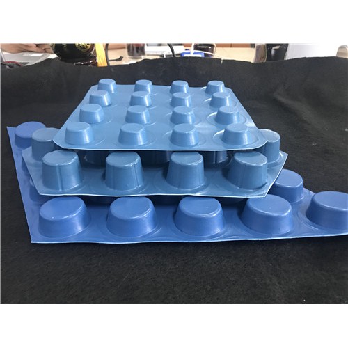 20高大帽排水板 疏水板 滤水板