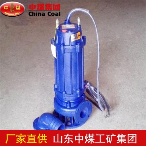 BQW潜水排污泵 中煤排污泵保质保量 欢迎咨询