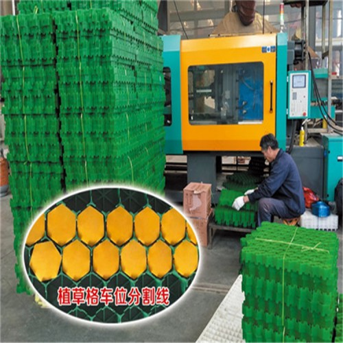 植草格生产厂家