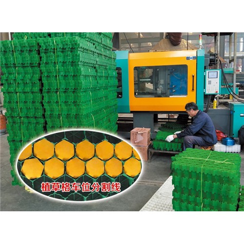 植草格 5公分植草格 7公分植草格厂家
